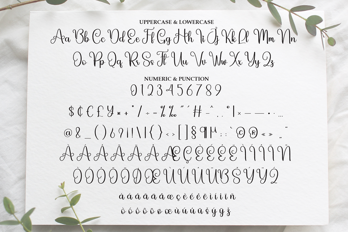 Lettering | Script Font, a Handwritten Font by Scratchones (Photo 7 of 9)