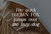 The Regalique Sans Serif Family Font, a Serif Font by UICreative (Thumbnail 7 of 13)