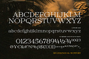 Hendry - Vintage Serif Family, a Serif Font by Novitype (Thumbnail 12 of 12)
