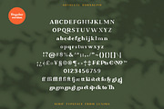 Absolute Borsalino - Serif Font, a Serif Font by Luxima (Thumbnail 7 of 15)
