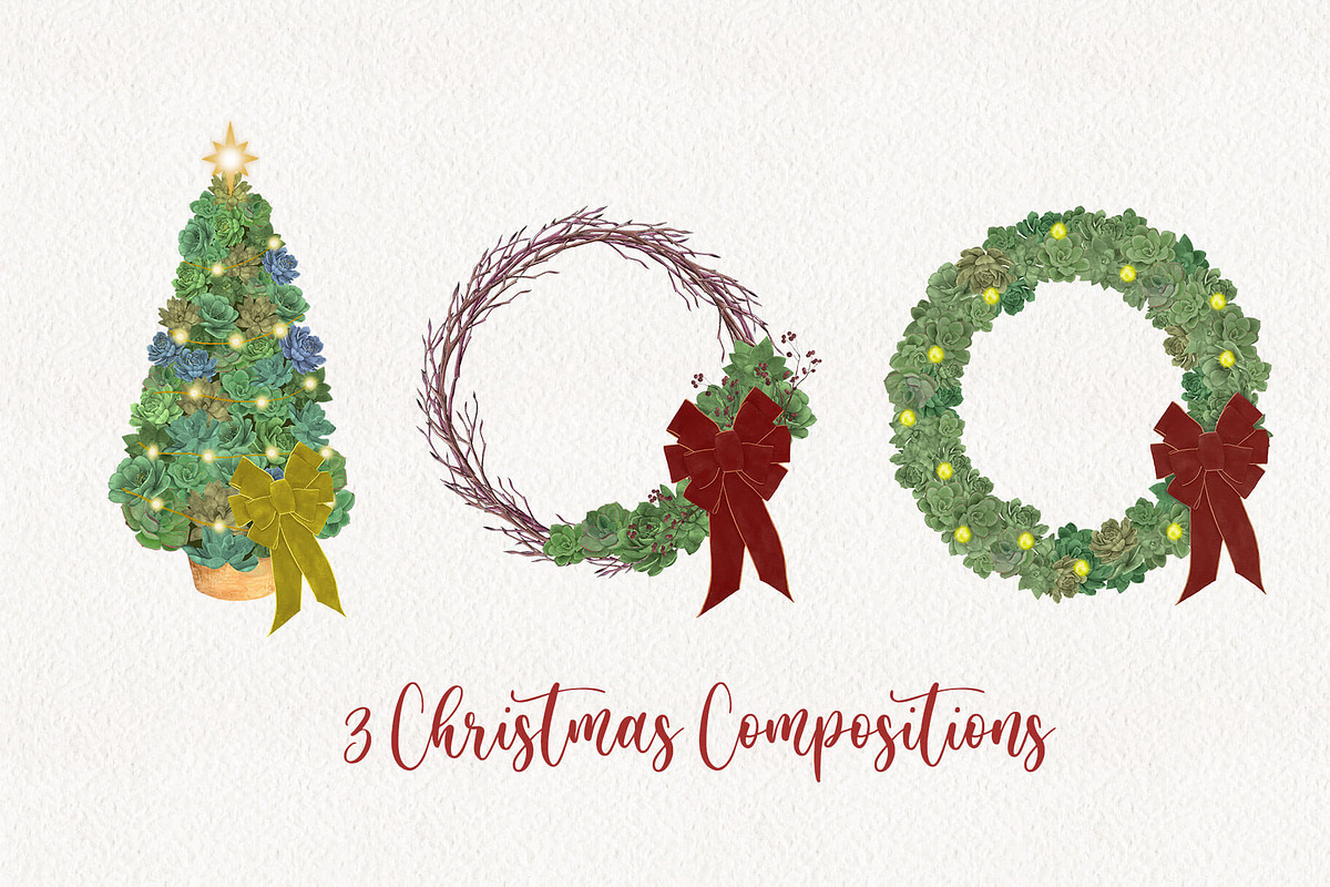 Seasonal Succulents, a Seasonal Illustration by Maggie Stilwell Design (Photo 9 of 13)