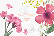 pressed-delicate-wild-meadow, a Decorative Illustration by beehouse studio (Thumbnail 11 of 12)