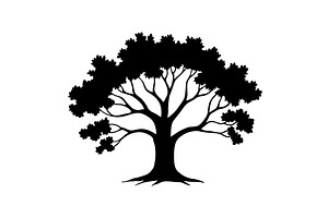 Oak silhouette towering over