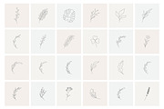 Botanical hand drawn elements, an Outline Icon by mayrum (Thumbnail 5 of 10)