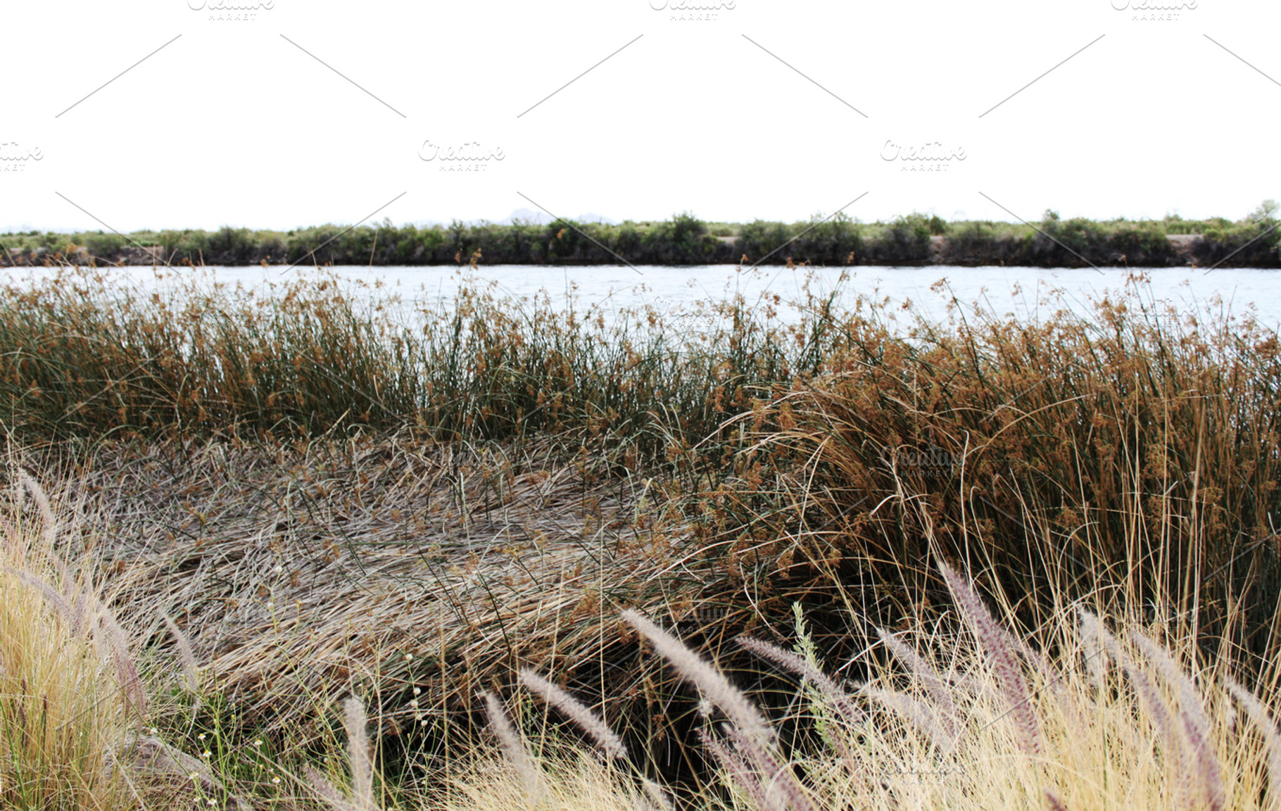 Nature Bed