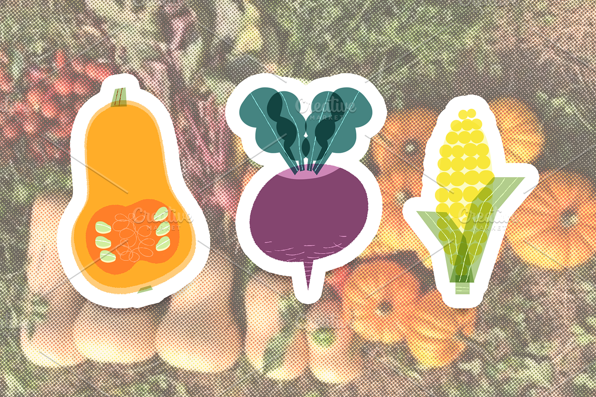 Organic Food Packaging Kit, a Food Illustration by Schumacher Shop (Photo 19 of 25)