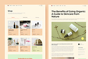 OriginBeauty Beauty Website Template, an UI Kit Template by EGO Creative Innovations (Thumbnail 5 of 5)