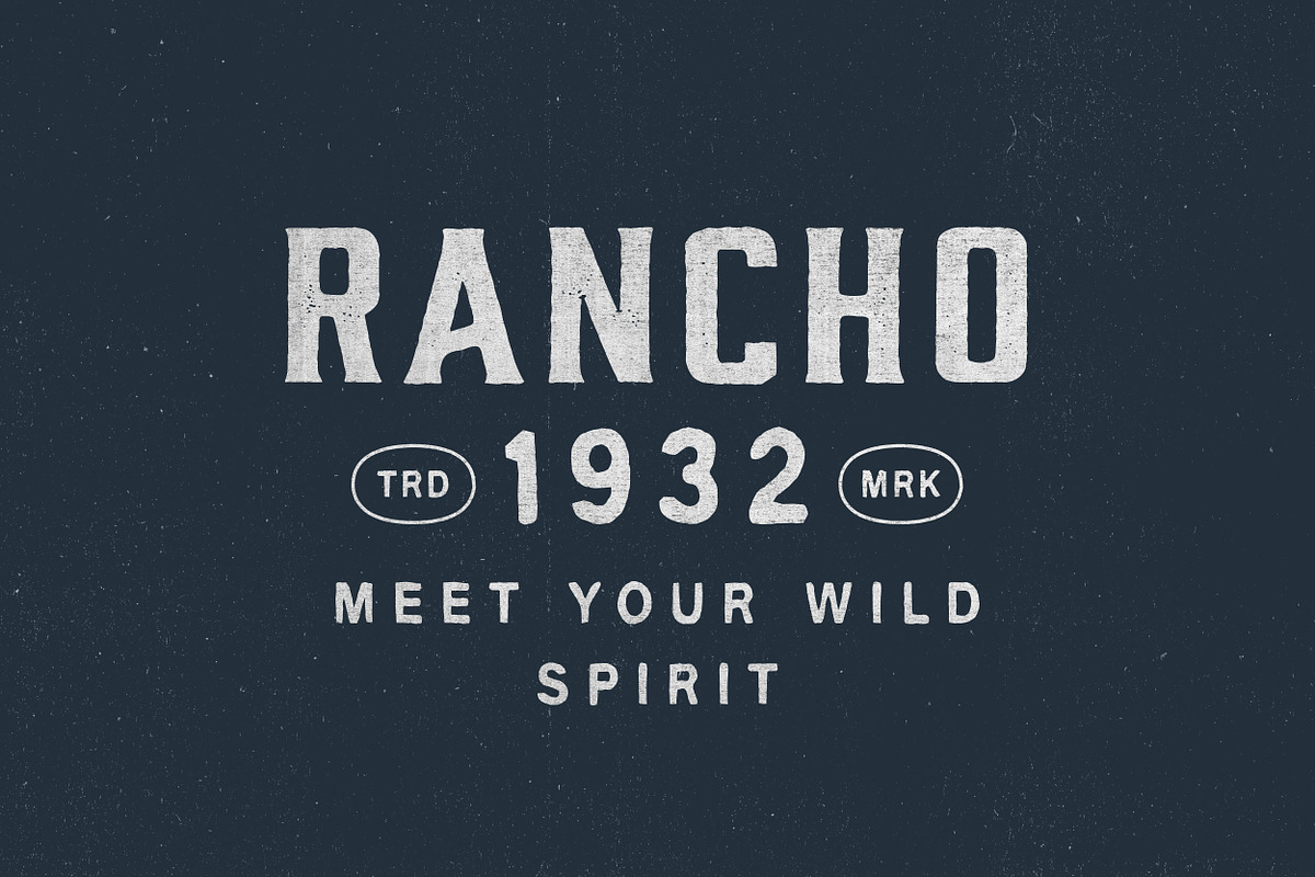 Wrangler & Extra, a Handwritten Font by Davide Bassu (Photo 14 of 18)