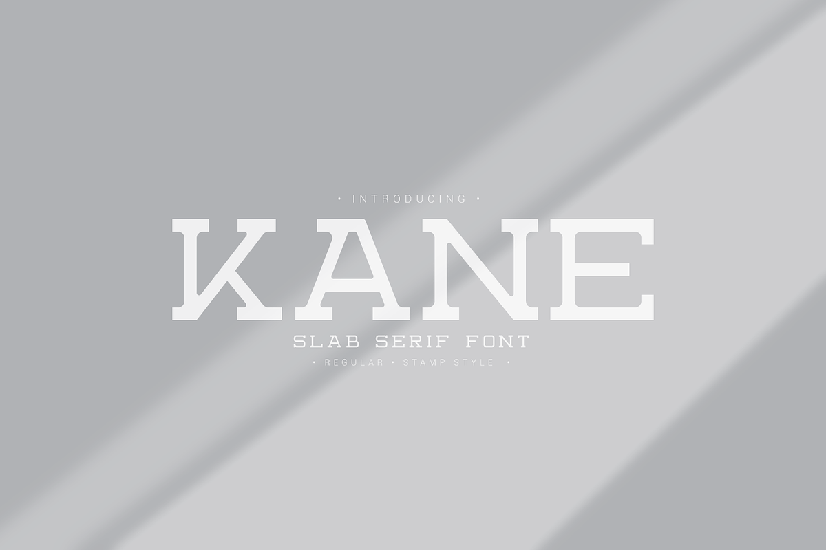 Kane, a Slab Serif Font by Linecreative (Photo 1 of 9)