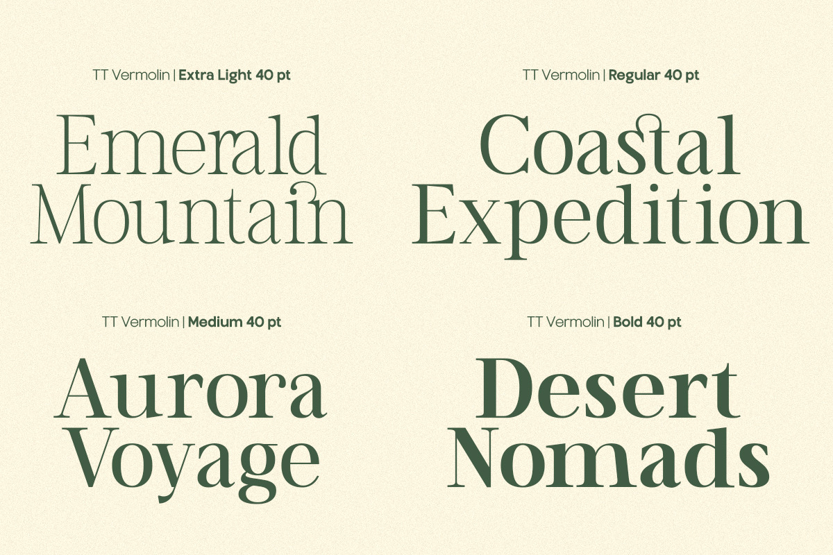 TT Vermolin — Modern Classy Serif, a Serif Font by truetype (Photo 11 of 15)