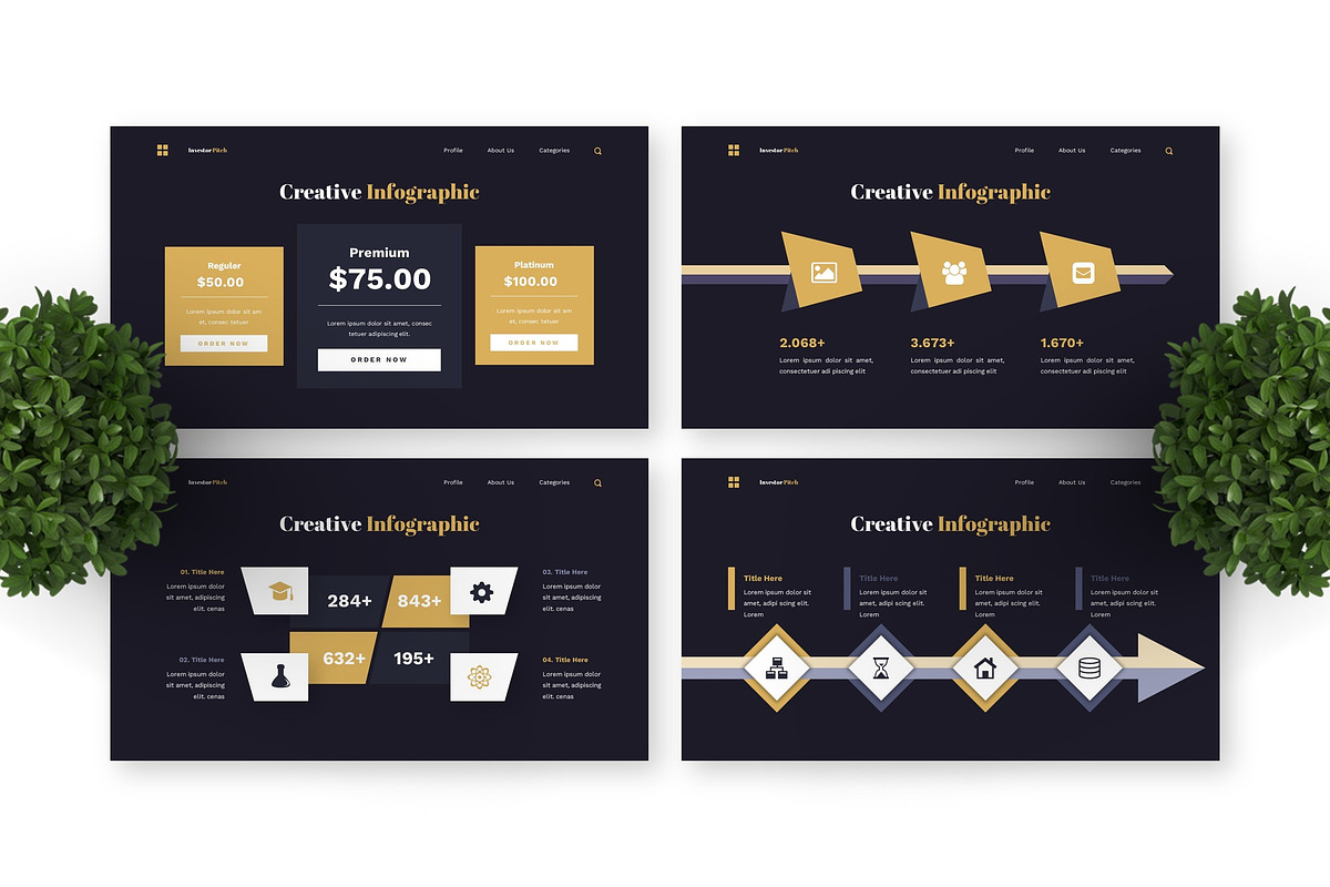 Investor Pitch - Business Powerpoint preview 2