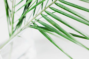 Summer Insta-Bundle, an Arts & Entertainment Photo by Light & Grace (Thumbnail 4 of 8)