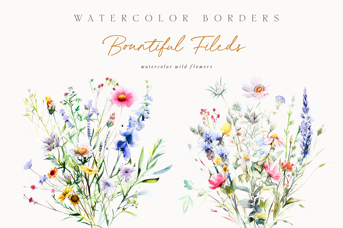 New! Wild Flowers Edition, a Seasonal Illustration by Isabelle Salem (Photo 24 of 155)