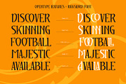 Rickslord, a Handwritten Font by Nathatype (Thumbnail 8 of 15)