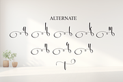 Sometimes | Script Font, a Handwritten Font by Scratchones (Thumbnail 8 of 9)