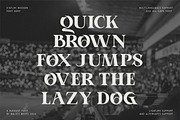 Aporla - Elegant Slab Serif, a Slab Serif Font by Baleee (Thumbnail 14 of 18)