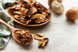 Dried mushrooms on wooden spoon and bowl, fresh mushrooms on gre, a Food & Drink Photo by Olena Rudo