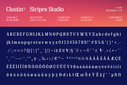 Clastin Variable, a Slab Serif Font by Stripes Studio (Thumbnail 15 of 15)