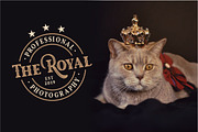 Royal King, a Serif Font by PutraCetol Studio (Thumbnail 6 of 9)