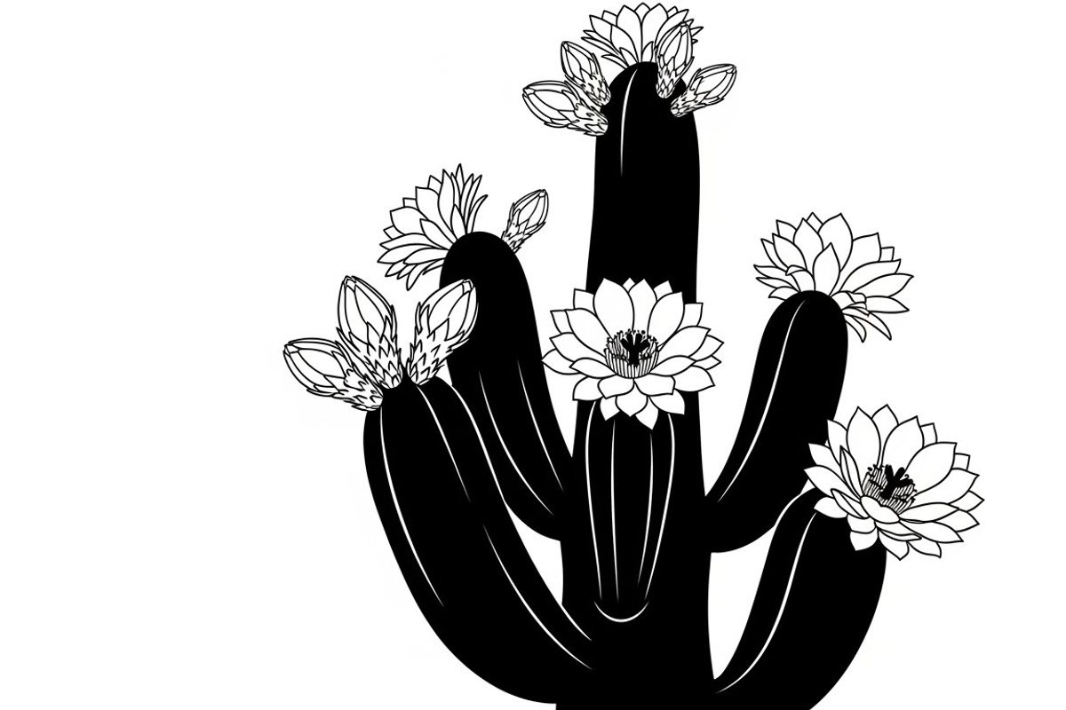 collection desert cactus silhouettes, an Illustration by Amazin_art (Photo 28 of 33)
