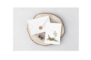 Trees Watercolor clipart. Forest, a Decorative Illustration by NKTKNS (Thumbnail 7 of 8)