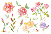 Watercolor Roses set 600 DPI, a Decorative Illustration by byJuliaKors (Thumbnail 2 of 3)