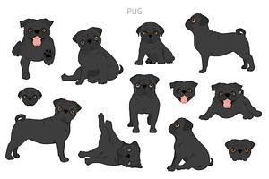 Pug Clipart