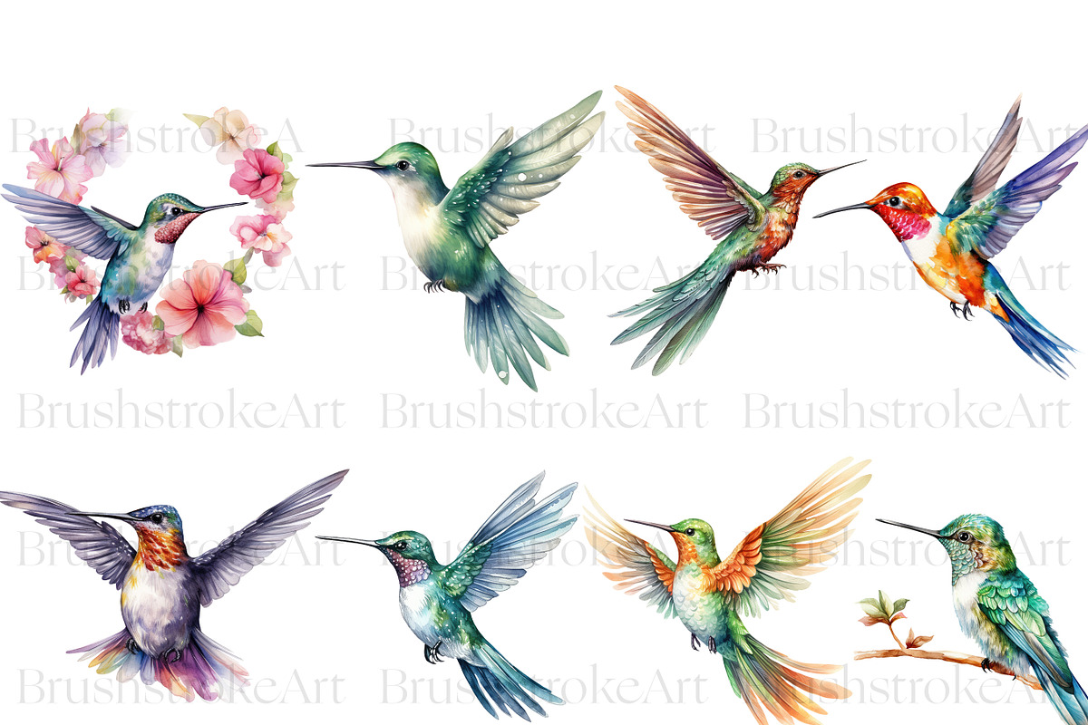 Hummingbird Clipart, Hummingbirds, an Animal Illustration by BrushstrokeArtGB (Photo 2 of 8)