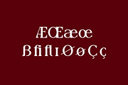 Luxoteg - Luxury Perfume Font, a Serif Font by QR Design Studio (Thumbnail 11 of 15)