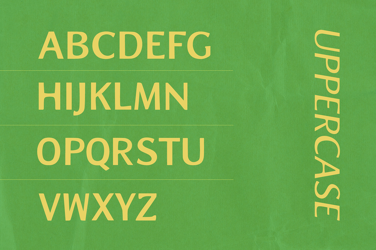ZOYA, a Sans Serif Font by Mirela Gherman (Photo 5 of 15)