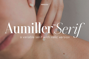 Aumiller Serif Family (18 Fonts), a Serif Font by Positive TypeFoundry