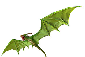 3DFoin - Dragon Bat