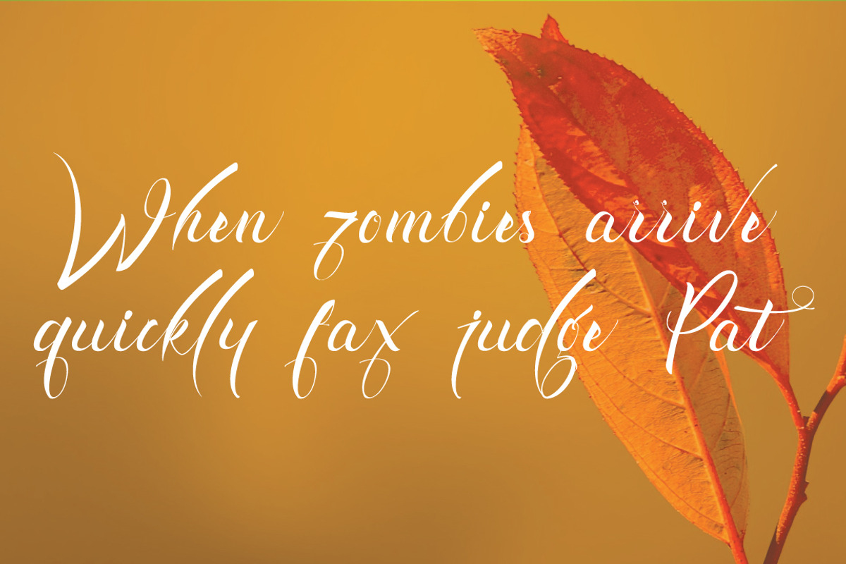 Exquisite Typeface preview 4