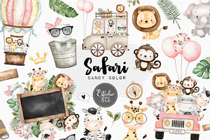 Safari Candy Color