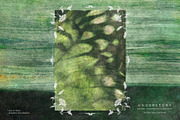Understory Organic Backgrounds, a Background Graphic by alonahaidash (Thumbnail 13 of 15)