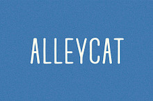 Alleycat I A Rounded Sans Serif Font