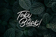 Lettering Brush-Pack for Procreate, a Brush Add-On by albi.letters (Thumbnail 6 of 7)