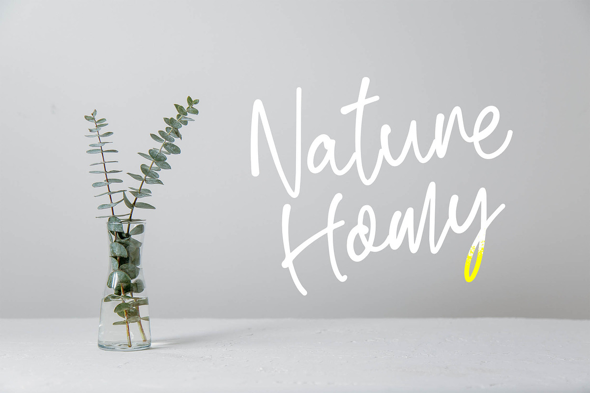 Renatta - Elegant Script Font, a Script Font by NTC Graphic (Photo 2 of 9)