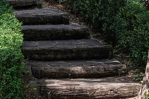 Stepway in the summer forest