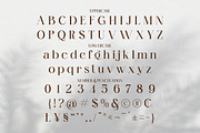 Autumn Serif - Elegant Branding Font, a Serif Font by Qweera Studio (Thumbnail 9 of 12)