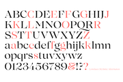 Lovelace - 30 fonts, a Serif Font by Zetafonts (Thumbnail 8 of 15)