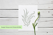 Air Plant Ink Illustration Set, an Illustration by Hannah Eliza Studio (Thumbnail 5 of 5)