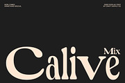 Calive Mix, a Sans Serif Font by Craft Supply Co. (Thumbnail 1 of 8)