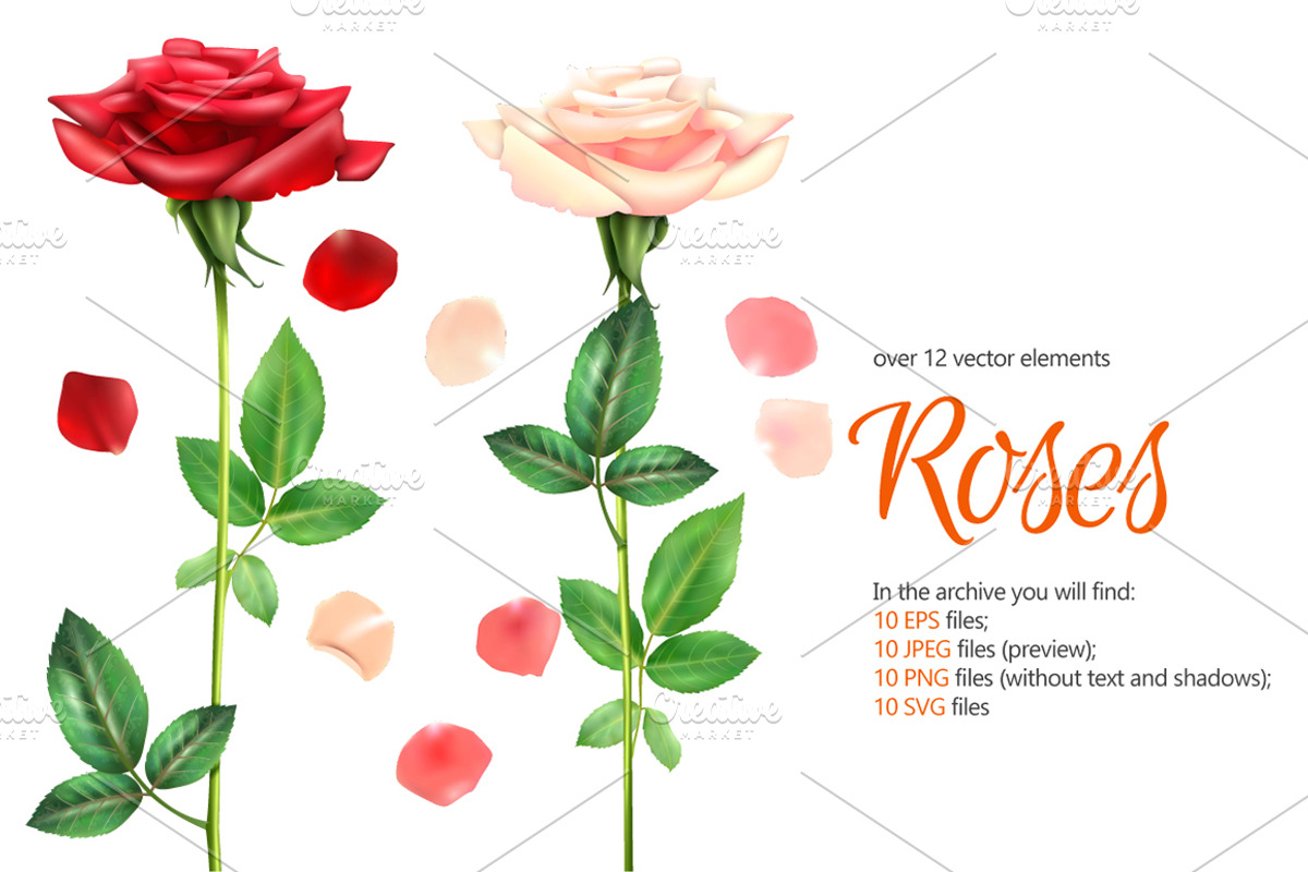Romantic Roses Set, a Graphic by Macrovector | Creative Market