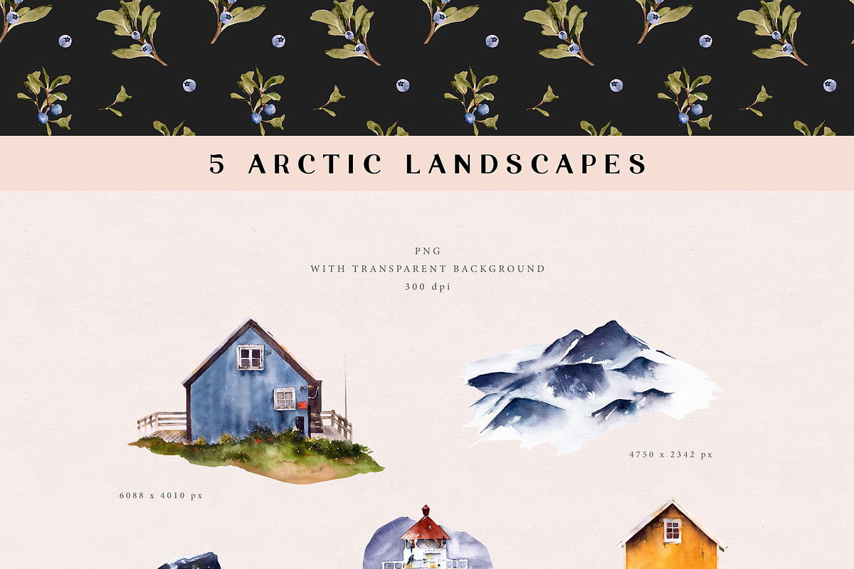 Arctic Life watercolor collection, an Animal Illustration by Diana Askarova Art (Photo 9 of 11)