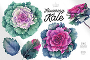 Watercolor Flowering Kale, a Decorative Illustration by Ekaterina Glazkova (Thumbnail 2 of 7)