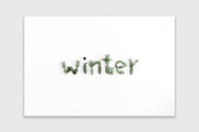 Winter Bundle 2, a Holiday Photo by Floral Deco (Thumbnail 7 of 7)