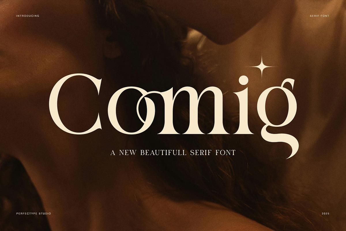Comig Elegant Serif Font, a Serif Font by Perfectype (Photo 1 of 8)