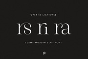 The Modern Typography Bundle, a Serif Font by Ivan Rosenberg (Thumbnail 24 of 58)