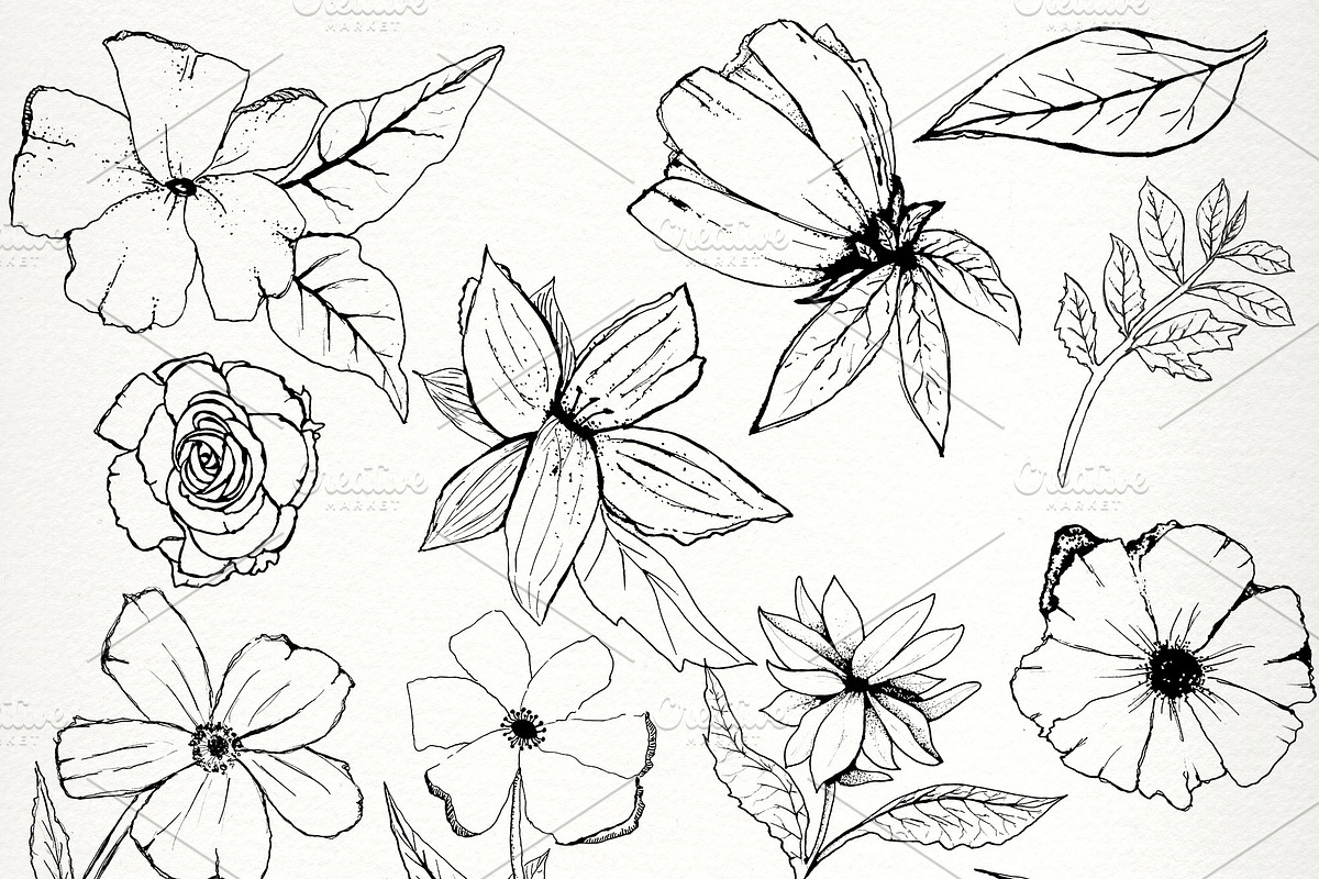 Modern Florals Watercolor clipart, an Illustration by SandraGraphicDesign (Photo 4 of 4)